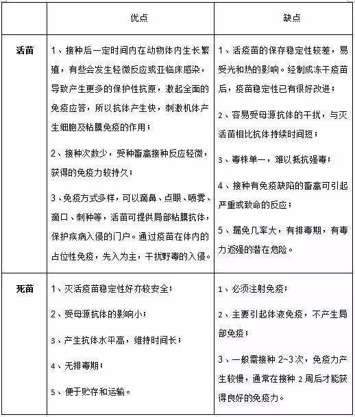 猪用疫苗种类多多死苗活苗各有所长