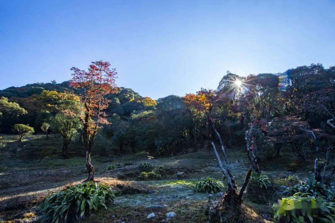 如果你还没来过苤菜坝,那么找个机会,约上家人与