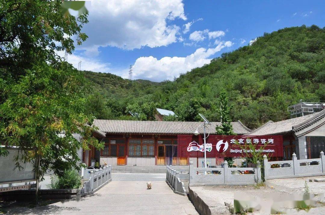 美丽乡村古风新貌韭园四村的历史人文