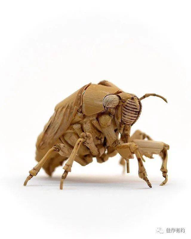 日本手工艺人用竹子就能作出逼真的昆虫模型