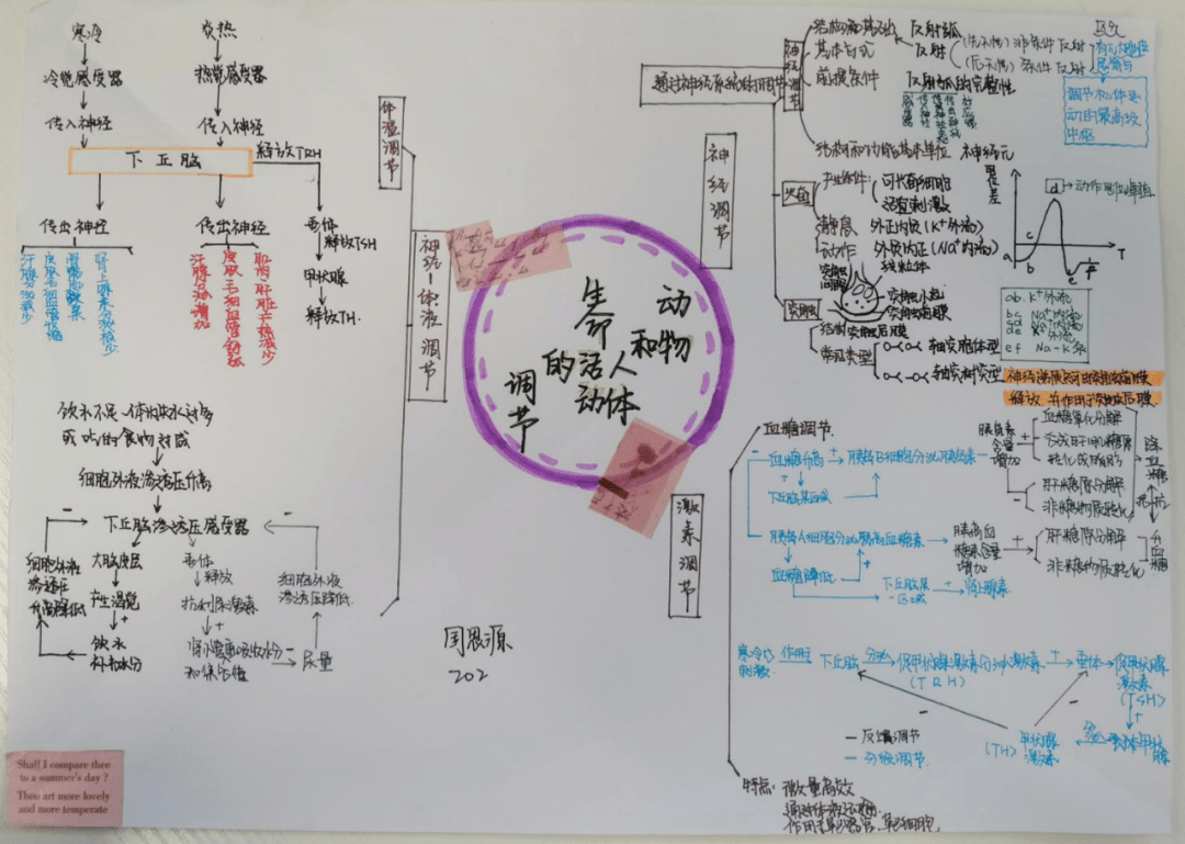 教育部:再不练字,孩子将无缘上大学!(转给家长)