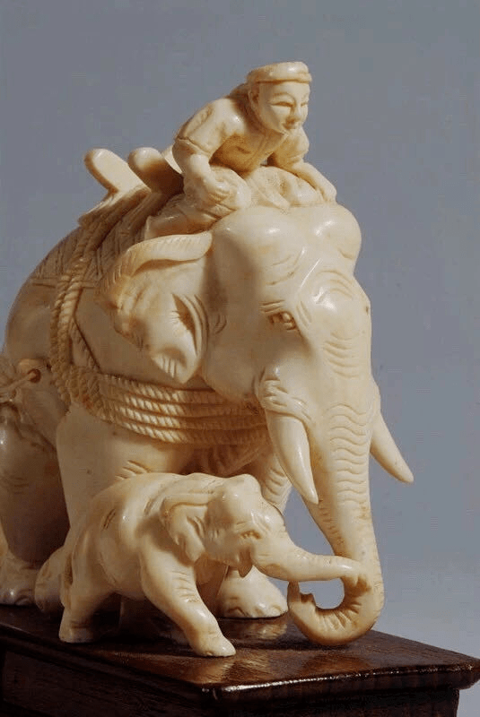 【滇地宝藏】云南人出门骑大象,竟然是真的?