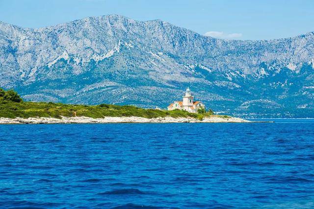 林子大了,什么"风"都有