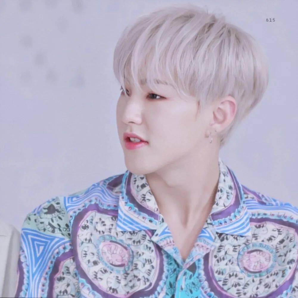 微信头像seventeen权顺荣