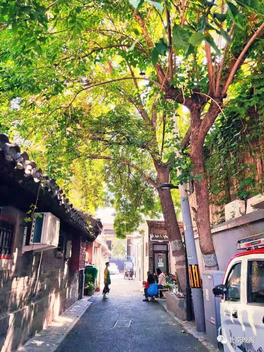 2020十大"北京最美街巷"揭晓,约吗?走起!_建国门街道