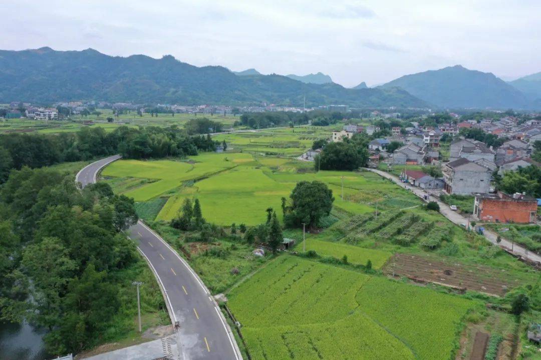 乡村公路示范乡镇候选系列展示79平阳闹村四好农村路托起群众小康梦