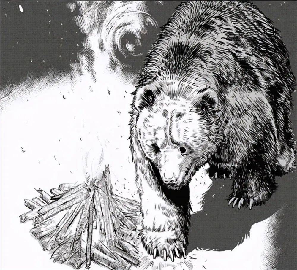 食人巨熊电影图片