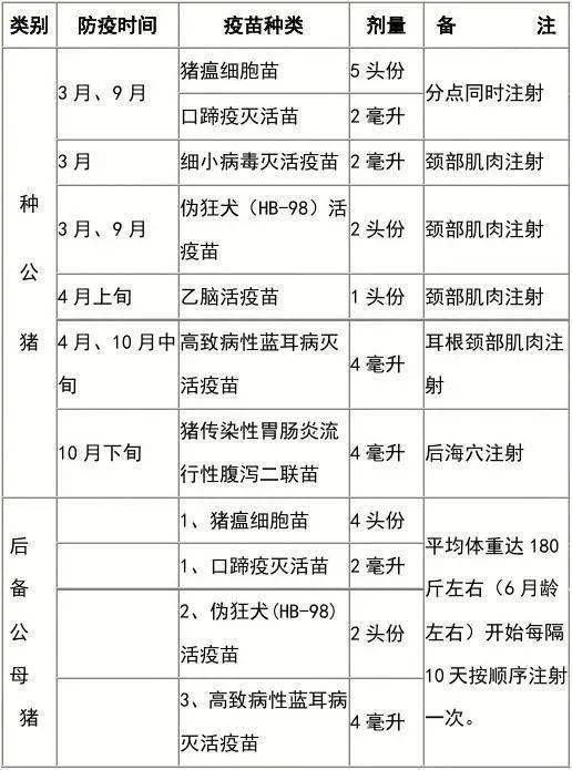 小猪免疫程序表最新图片