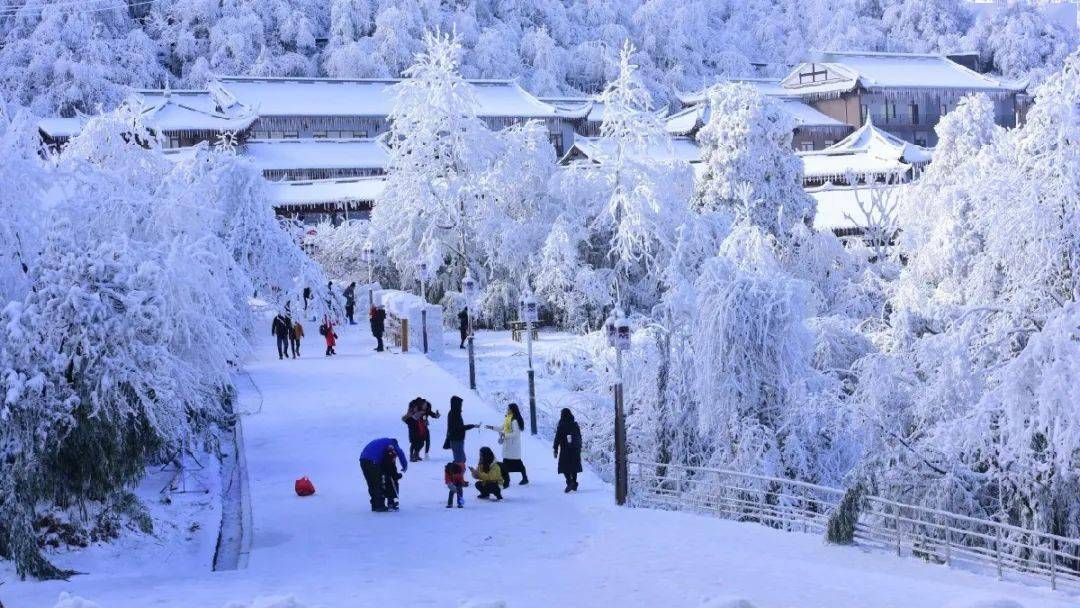 瓦屋山冰雪狂欢节一起去世界级美景瓦屋山林海雪原观云海冰瀑打雪仗堆