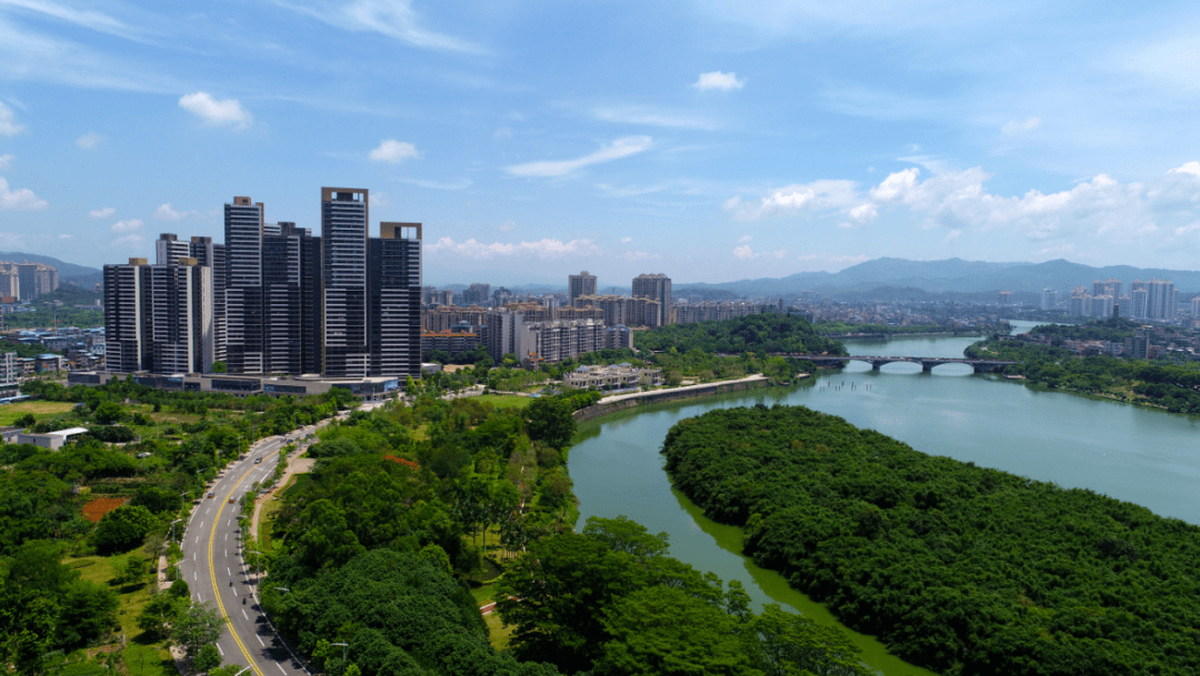 闹市绿林鸟啾啾全球易危鸟类安家增城