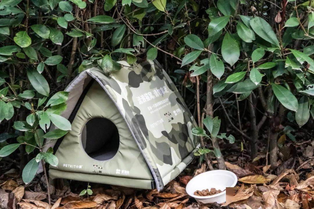 我们来了~_猫窝