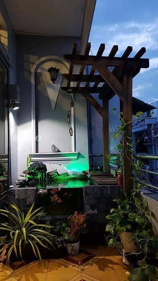 漂亮| 建在自家阳台的650升金鱼小池,堪称经典之作!_鱼池