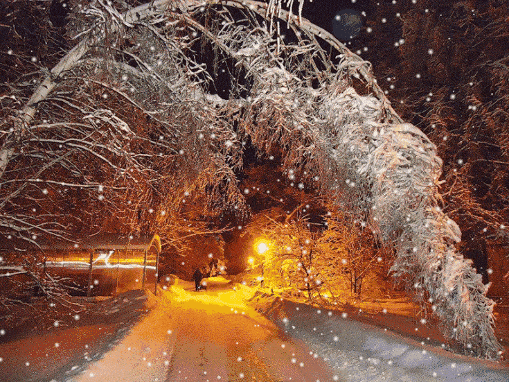 下雪的图片实景动态图片