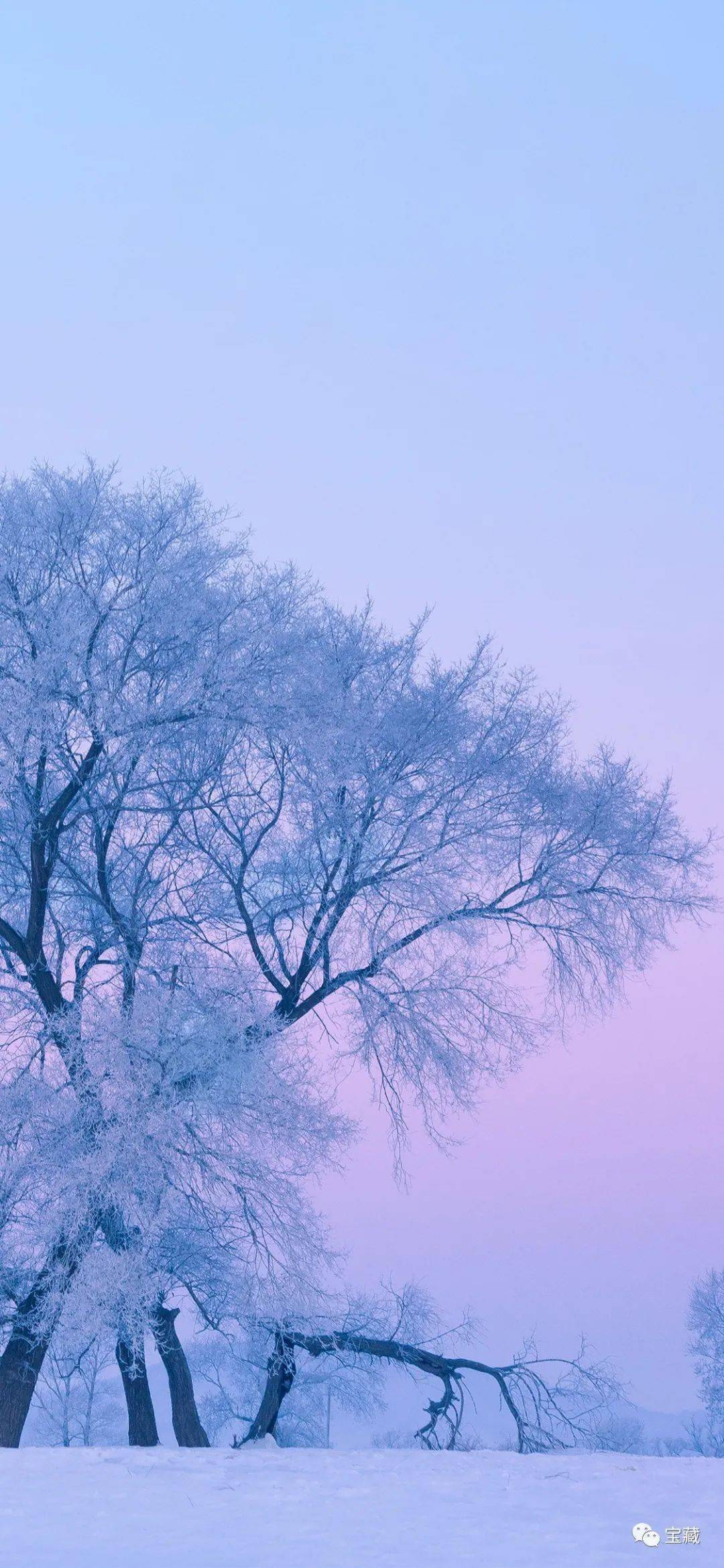 节气大雪林表明霁色城中增暮寒