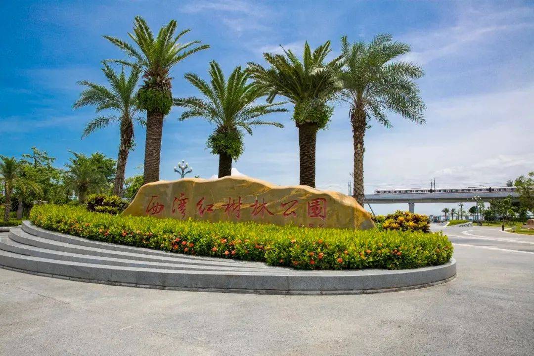 以实际路线为准,请查询确认后前往)丨梧桐岛丨岛上的树木郁郁葱葱仿佛