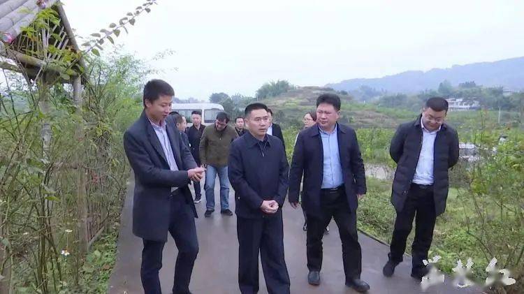 双城经济圈合江县白沙镇与永川区朱沱镇签订合作备忘录