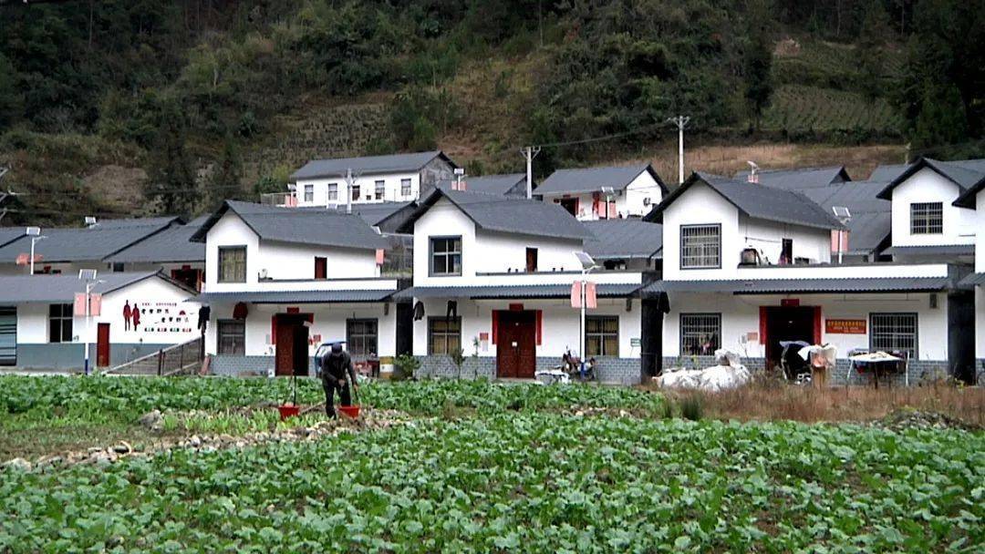 【记者走一线】大路坝区:美了~ 富了~乐了~_咸丰县