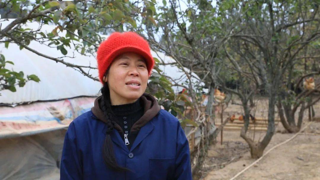 养殖户李秋燕:说实在的打工不可能打一辈子,还是得回来做一点自己的