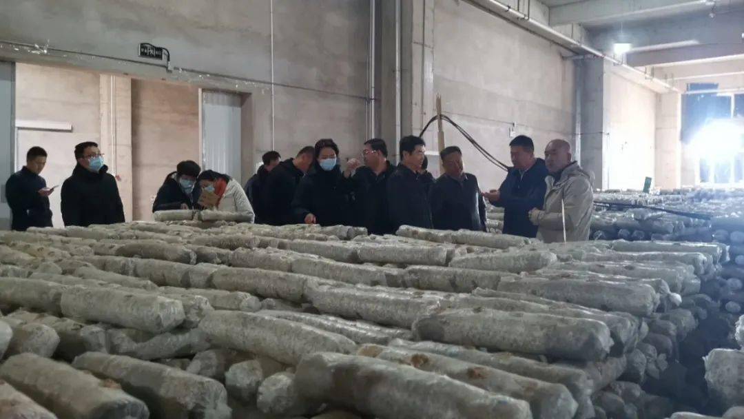 尉犁县考察团来我市学习考察