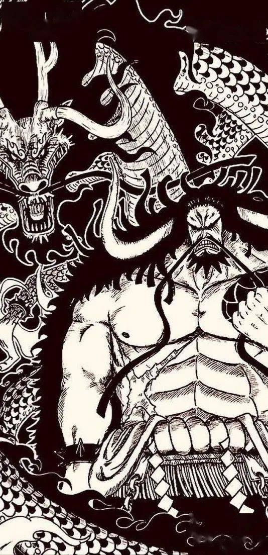 海贼王壁纸这黑白画风喜欢