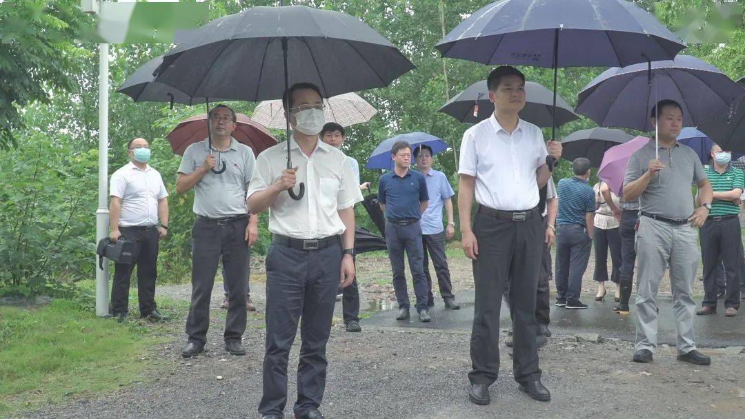 高铁引领当阳城西精彩蜕变