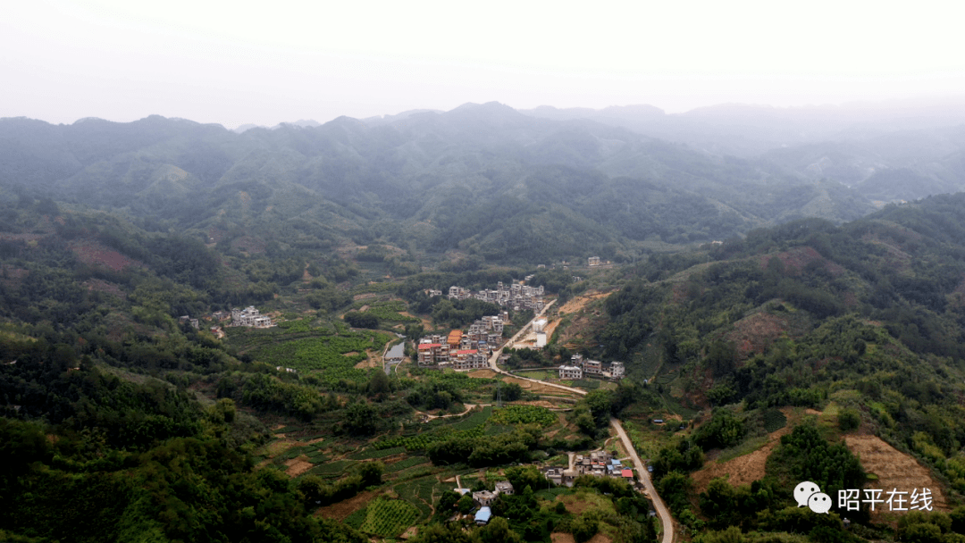 五将镇大坪村三驾马车走出了乡村振兴路