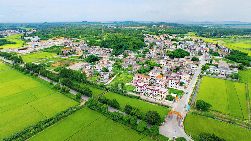 祝贺南朗镇左步村获全省表彰