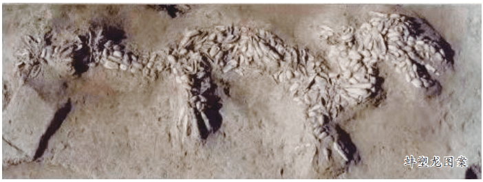 重磅消息:在濮阳发现河南西水坡蚌龙图案的实证价值_遗址