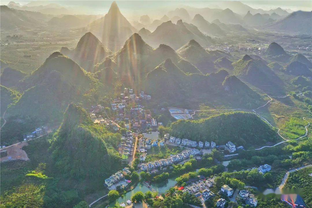 桂林恭城瑶族自治县红岩村月柿丰收景色