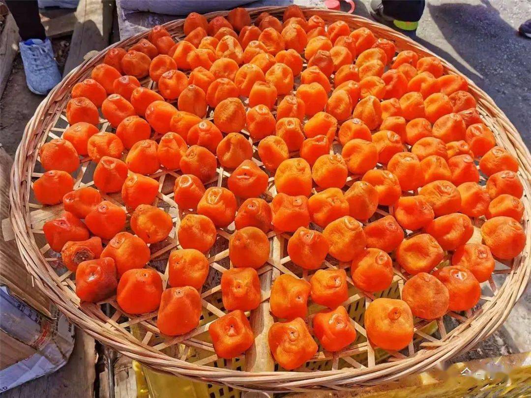 桂林恭城瑶族自治县红岩村月柿丰收景色