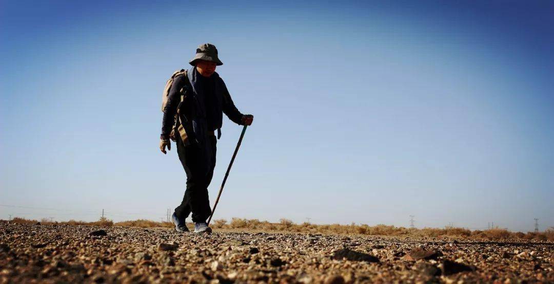 正念行走10走出困境让心在戈壁滩上开出花来第21届行者招募令