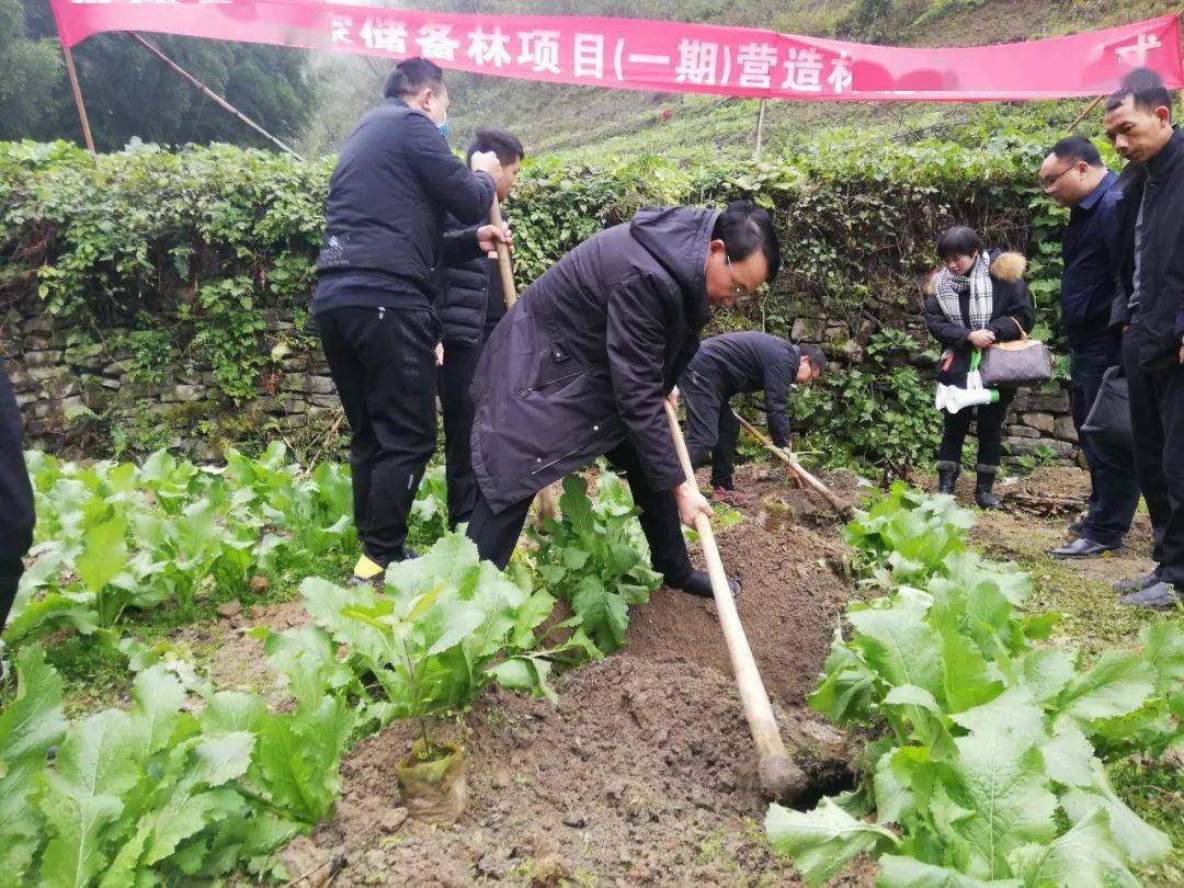 金沙县纪检监察系统深入学习贯彻党的十九届五中全会精神