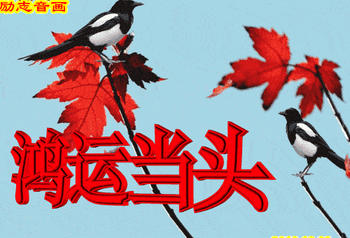 500_340gif 动态图 动图