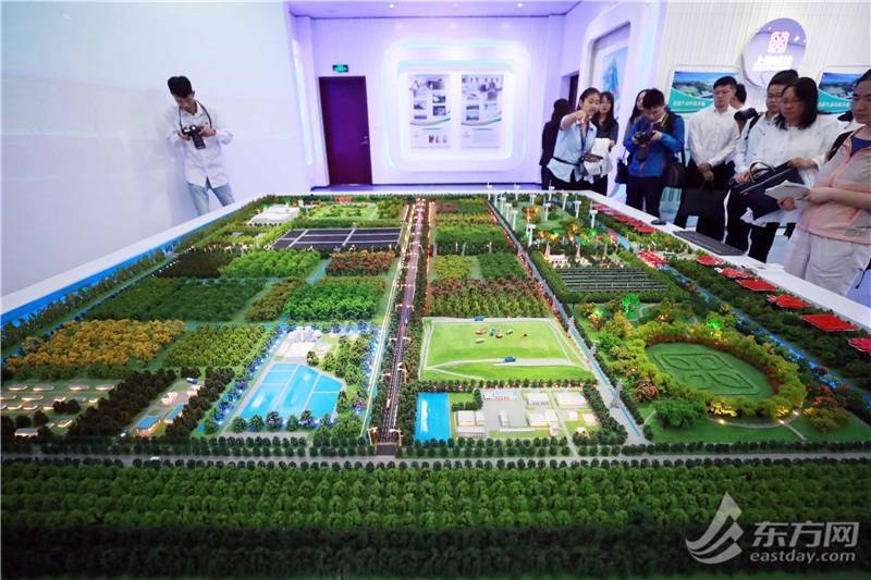 三十年天翻地覆曾经臭烘烘的垃圾填埋场现在养起了梅花鹿