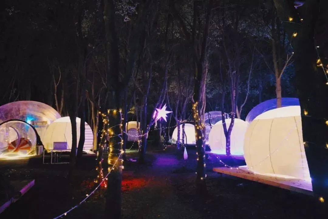 泡泡屋就能和宝贝一起来个自然探索之旅不到两天,不出上海科幻森林
