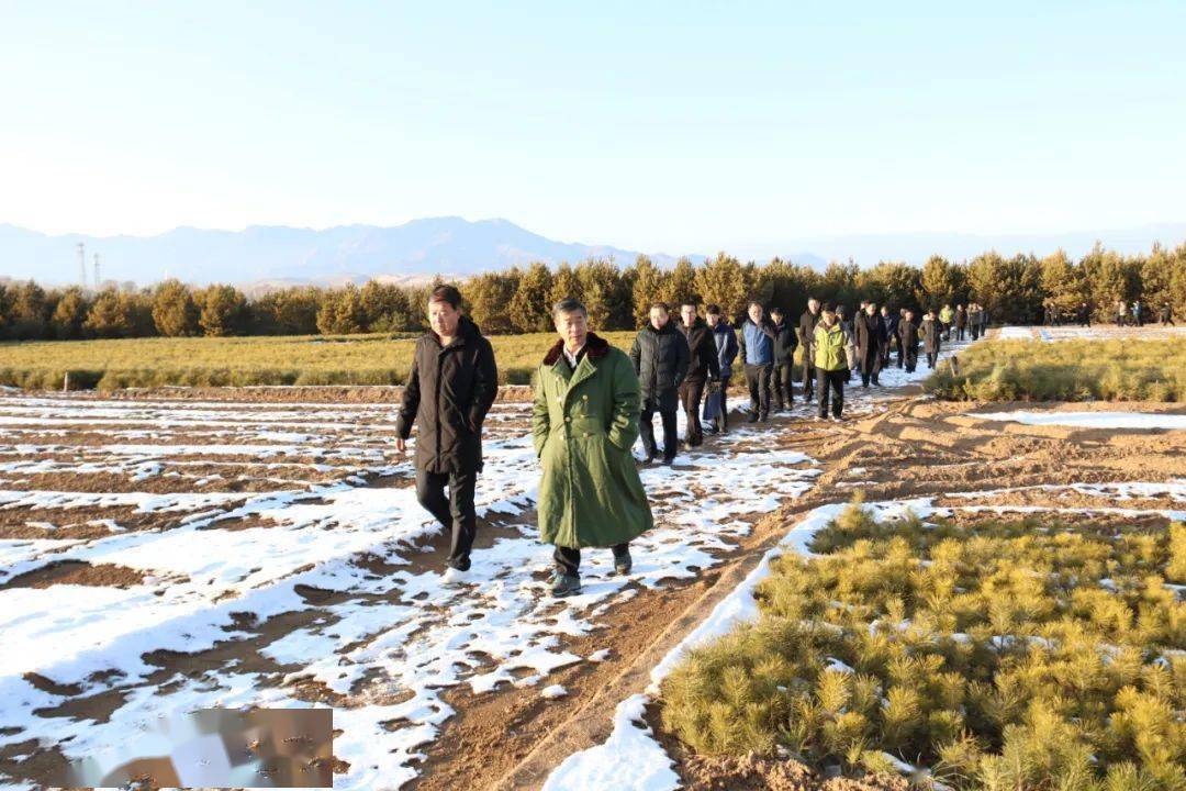 黑茶山國有林管理局:近日,五臺林局開展了2020年度森林撫育驗收工作.