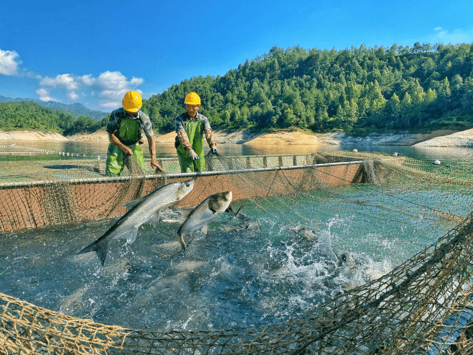 珊溪水库保水生态渔业五,防控重大水生动物疫情,全市布设40个监测站点