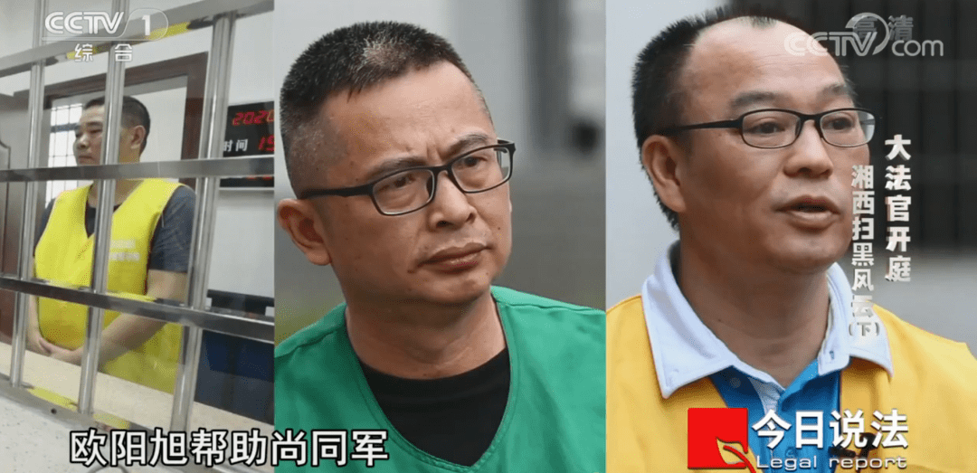 天元水泥厂这一项目将欧阳旭,欧阳里和尚同军三人紧