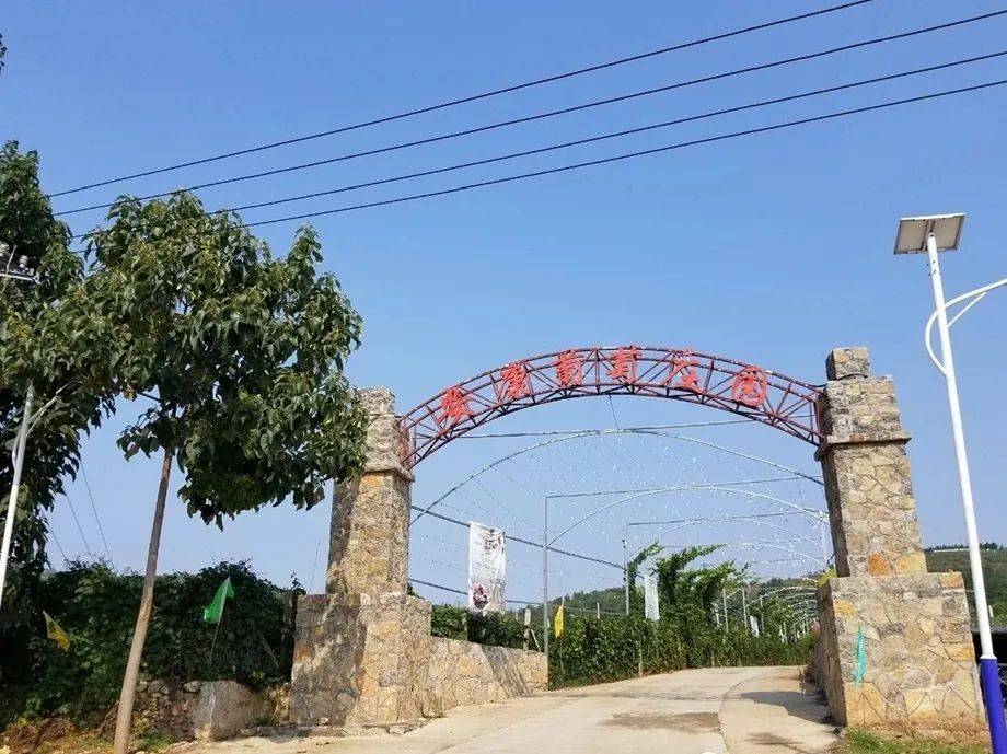 徐庄镇安沟村:乡村旅游谱写扶贫致富新乐章_驻村