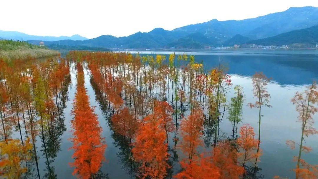 汉丰湖画画图片