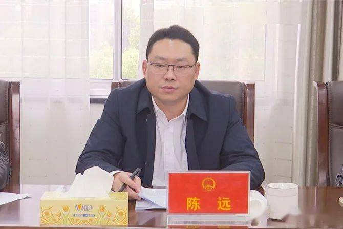 陈远就鼎城区政府工作报告征求区人大区政协意见