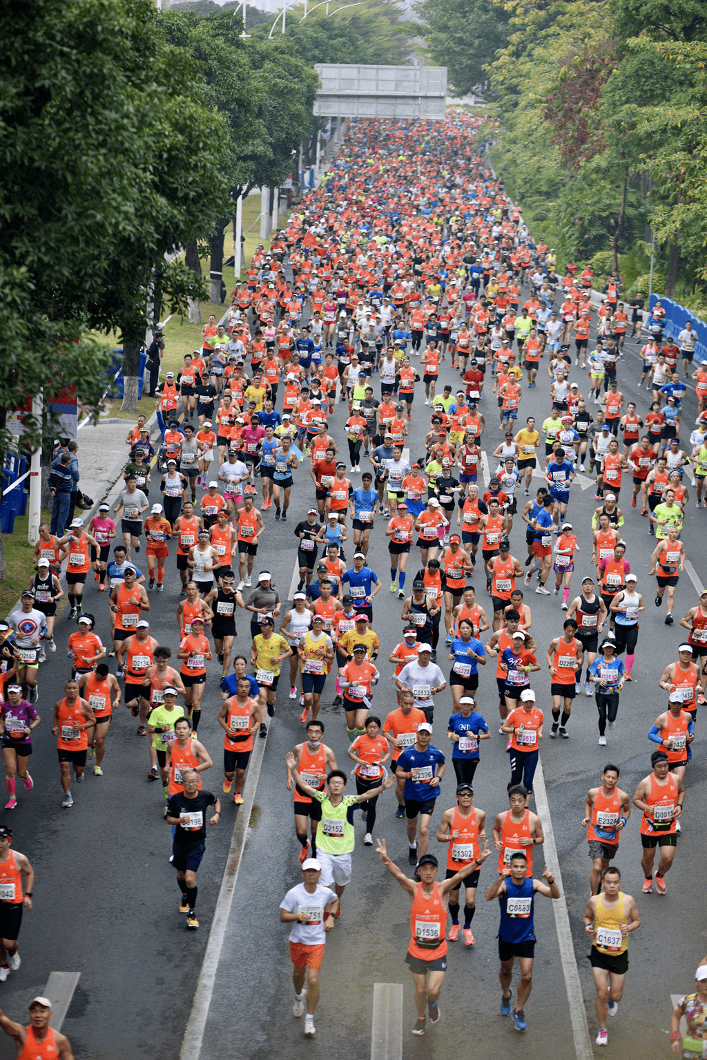 2020广马今早开跑男女冠军出炉现场一波美图靓爆羊城