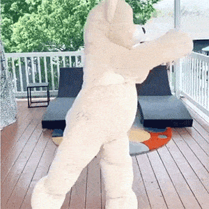 泰迪熊跳舞表情包gif图片