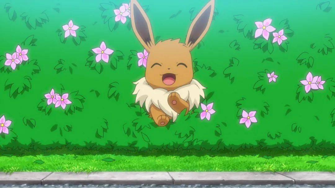 宝可梦旅途第49集小春和十分不可思议的伊布