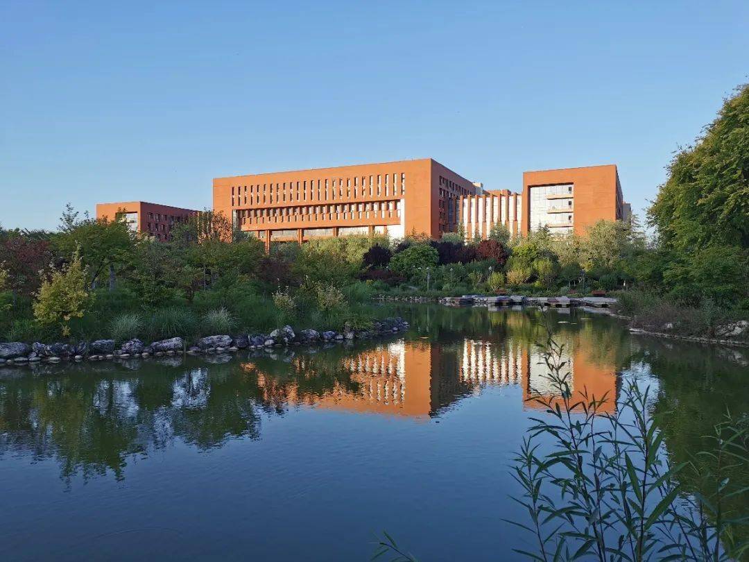 筑梦兴农献礼百年摄影大赛印象西农用镜头记录每一刻心动