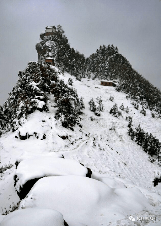 对不起我要去陇南看雪了别再找我了
