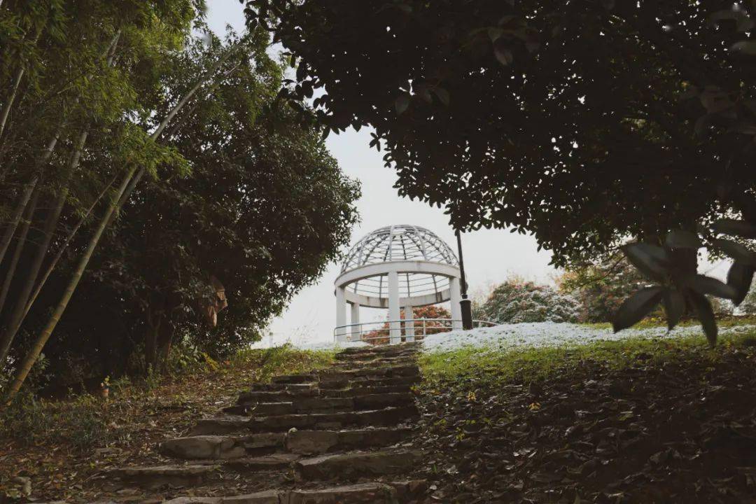 河海大学拍了拍你要不要一起来看雪