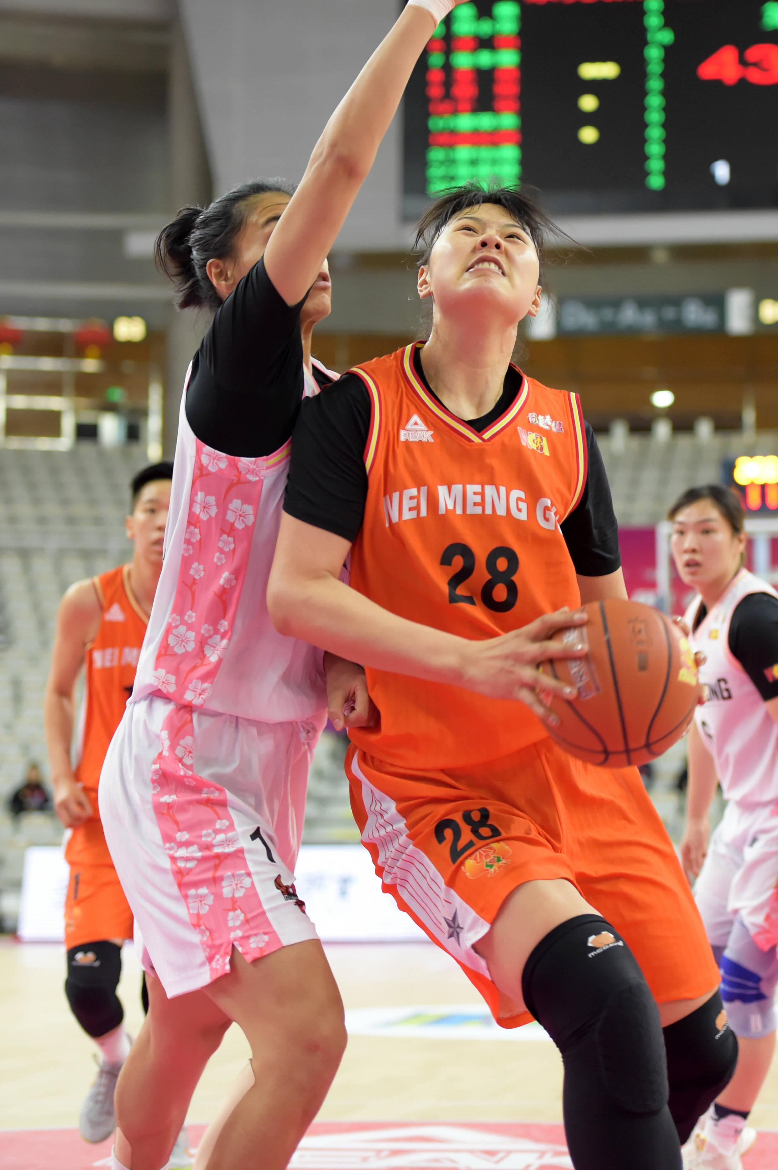 篮球——wcba:内蒙古农信胜东莞新彤盛