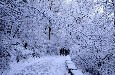 海寧要下雪了!就在今夜!