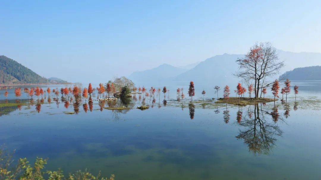 黄岩湿地公园图片